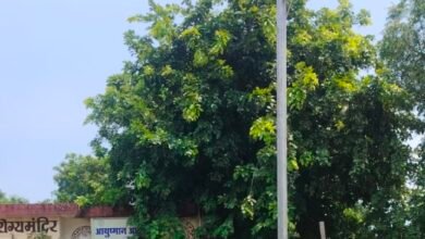 image editor output image916530199 1758275653874 kshititech