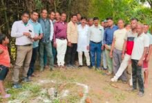 image editor output image1175816625 1761722770180 kshititech