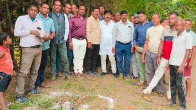 image editor output image1175816625 1761722770180 kshititech