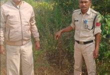 image editor output image 1459192661 1764512219412 kshititech