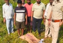 image editor output image 1865637059 1762591483833 kshititech