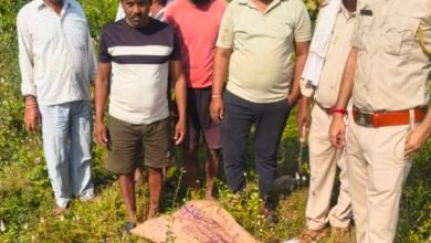 image editor output image 1865637059 1762591483833 kshititech