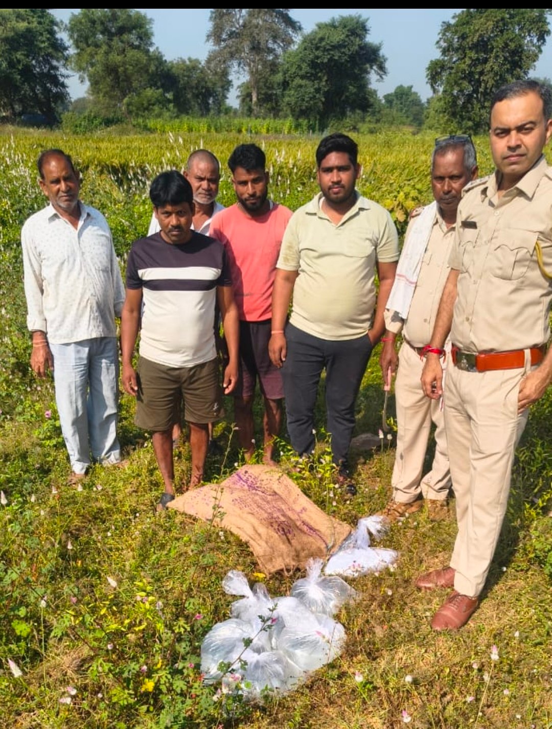 image editor output image 1865637059 1762591483833 kshititech