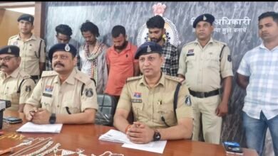 image editor output image1270879002 1762605260130 kshititech