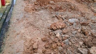 image editor output image 1084301121 1765027609391 kshititech