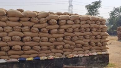 image editor output image 1158526626 1765613430258 kshititech