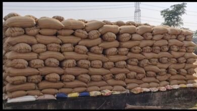 image editor output image 1263787834 1767098504443 kshititech