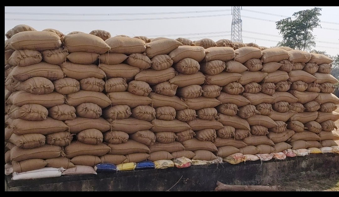 image editor output image 1263787834 1767098504443 kshititech