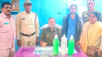 image editor output image 348253291 1766148058676 kshititech