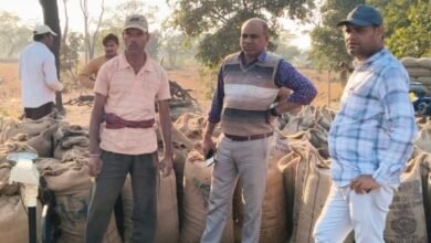 image editor output image 491579173 1765344500696 kshititech