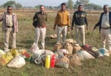 image editor output image919790713 1764984273023 kshititech