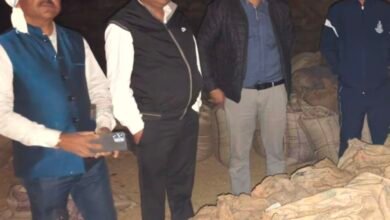 image editor output image 2068395506 1768905601850 kshititech