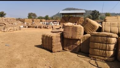 image editor output image787420900 1767705446037 kshititech