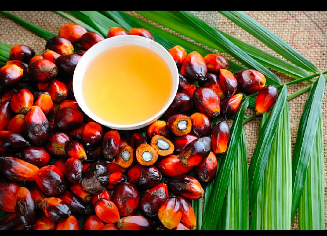 image editor output image801966074 1771241674646 kshititech