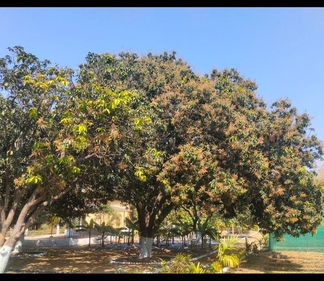 image editor output image 848343460 1772795860626 kshititech